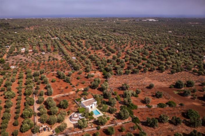 Image No.25-4 Bed Property for sale