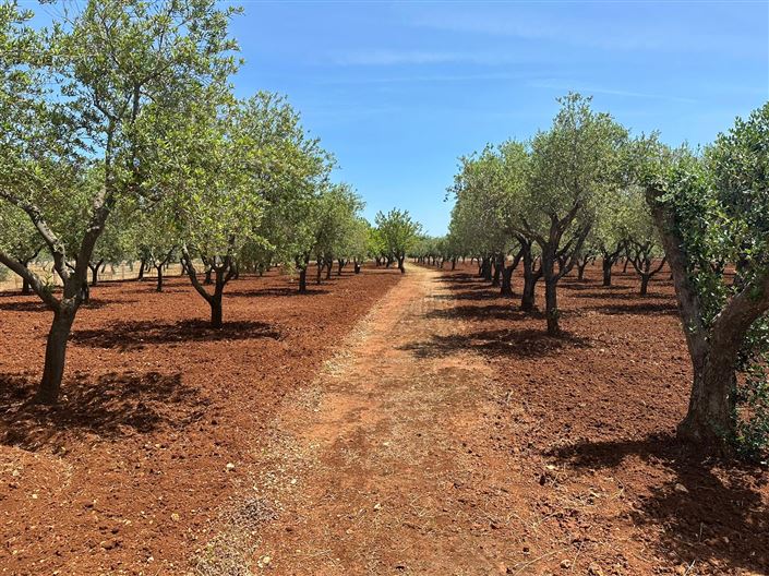 Image No.38-2 Bed Property for sale