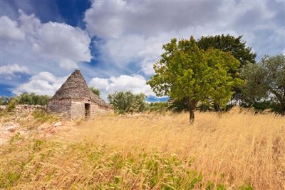 1 - Alberobello, Property