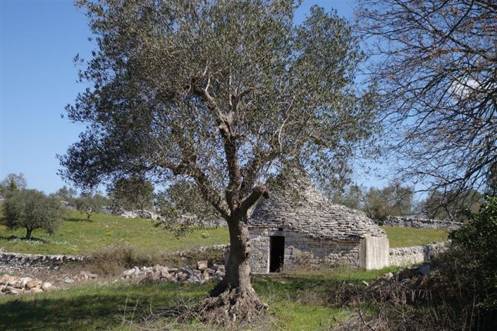 Image No.4-1 Bed Property for sale