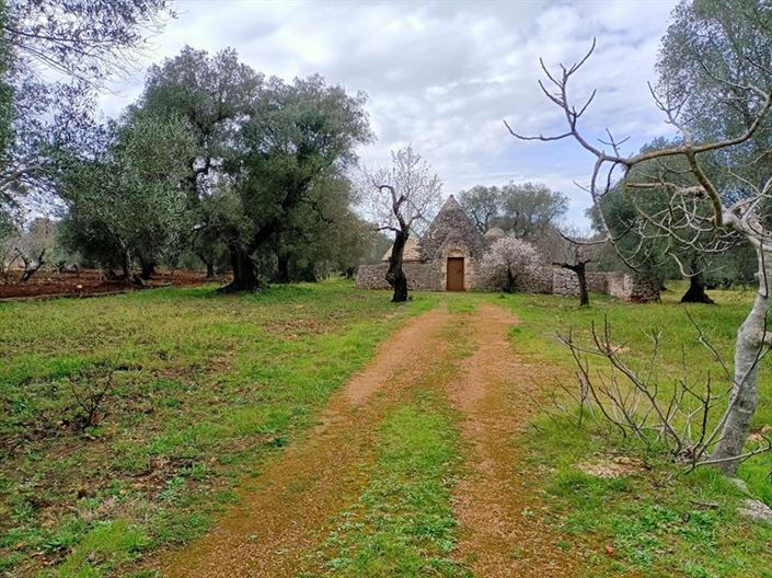 Image No.1-Propriété de 1 chambre à vendre à Ostuni