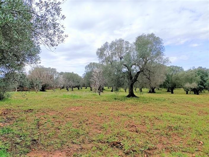 Image No.15-1 Bed Property for sale