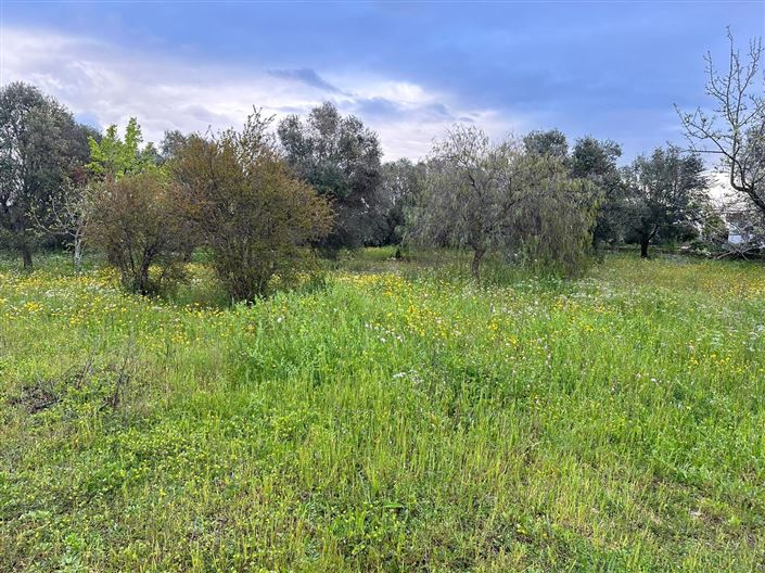 Image No.12-1 Bed Property for sale