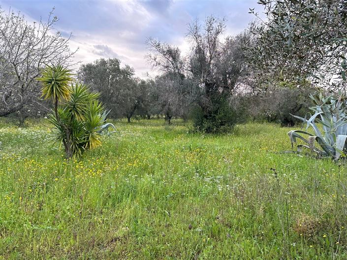 Image No.13-1 Bed Property for sale