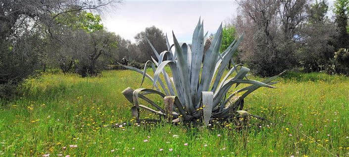 Image No.14-1 Bed Property for sale