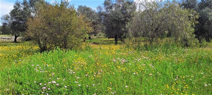 Image No.16-1 Bed Property for sale