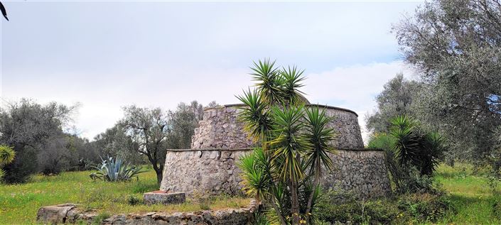 Image No.3-1 Bed Property for sale