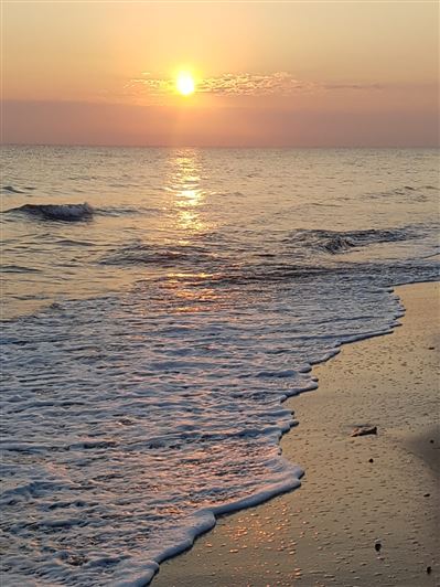 Image No.28-1 Bed Property for sale