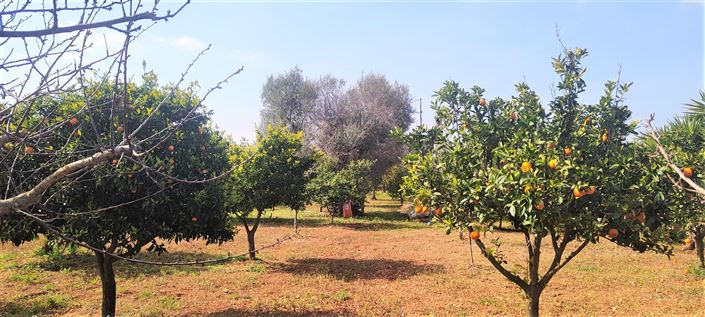 Image No.37-3 Bed Property for sale