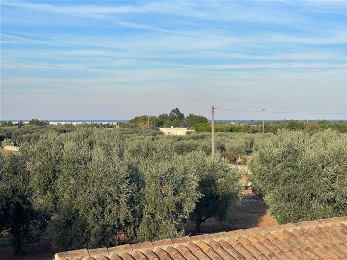 Image No.24-4 Bed Villa for sale