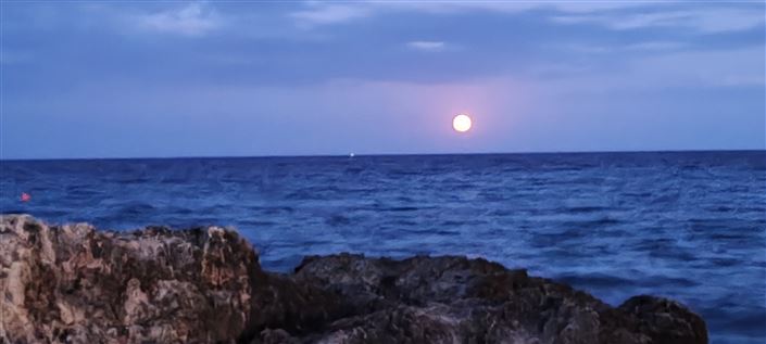 Image No.40-4 Bed Villa for sale