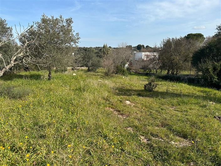 Image No.32-5 Bed Villa for sale