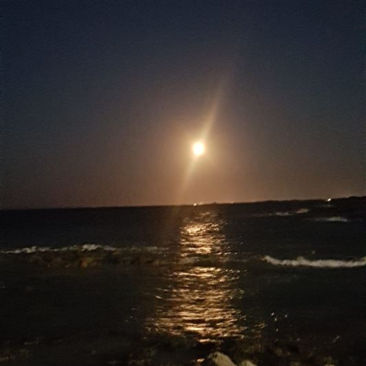 Image No.14-Property for sale