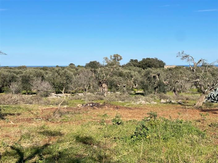 Image No.4-Property for sale