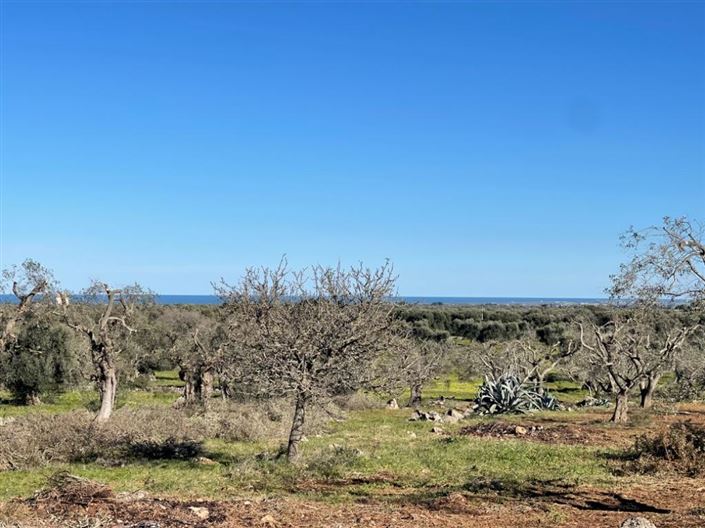 Image No.6-Property for sale