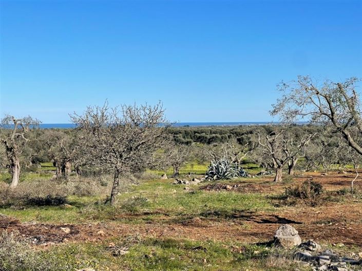 Image No.7-Property for sale