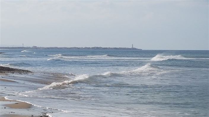 Image No.19-Propriété à vendre à San Vito dei Normanni