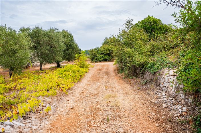 Image No.20-1 Bed Property for sale