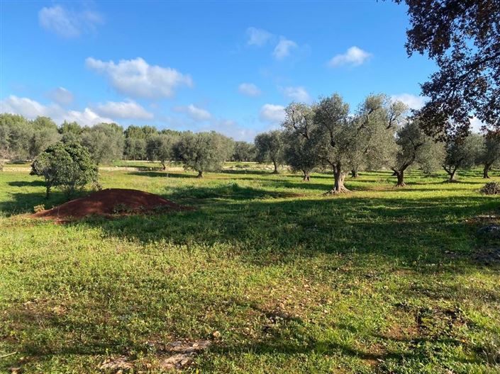 Image No.23-5 Bed Property for sale