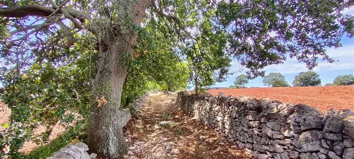 Image No.11-8 Bed Property for sale