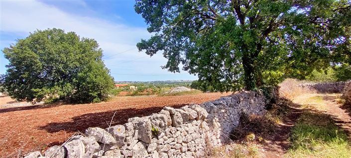 Image No.12-8 Bed Property for sale