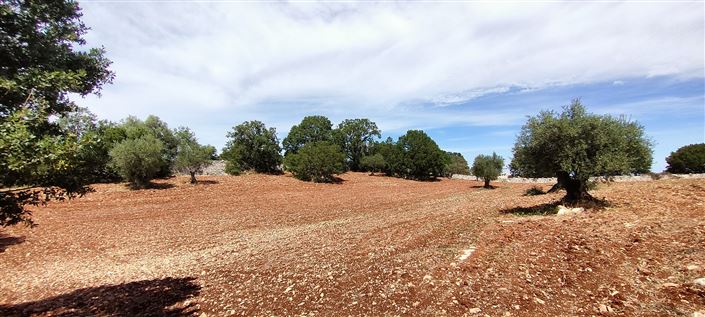 Image No.15-8 Bed Property for sale