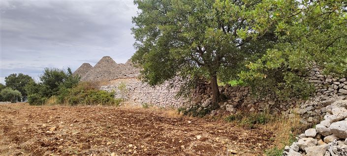 Image No.10-8 Bed Property for sale