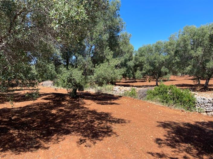 Image No.11-Property for sale