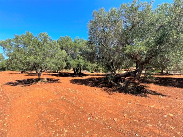 Image No.13-Property for sale