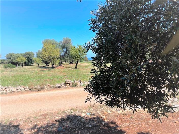 Image No.4-Property for sale