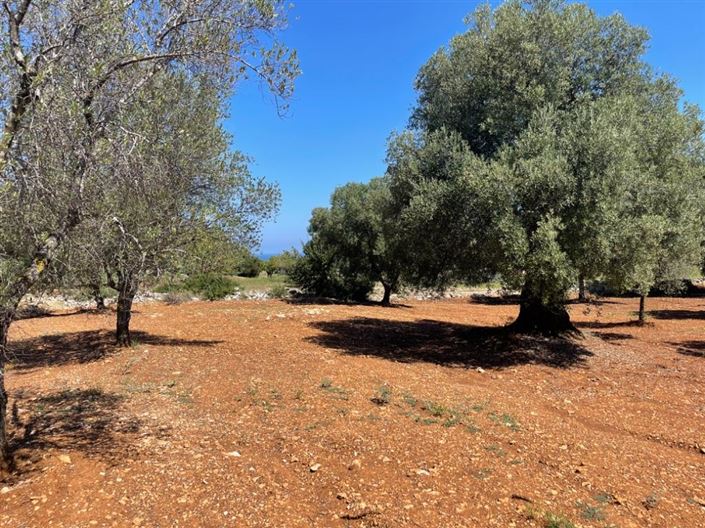 Image No.5-Property for sale