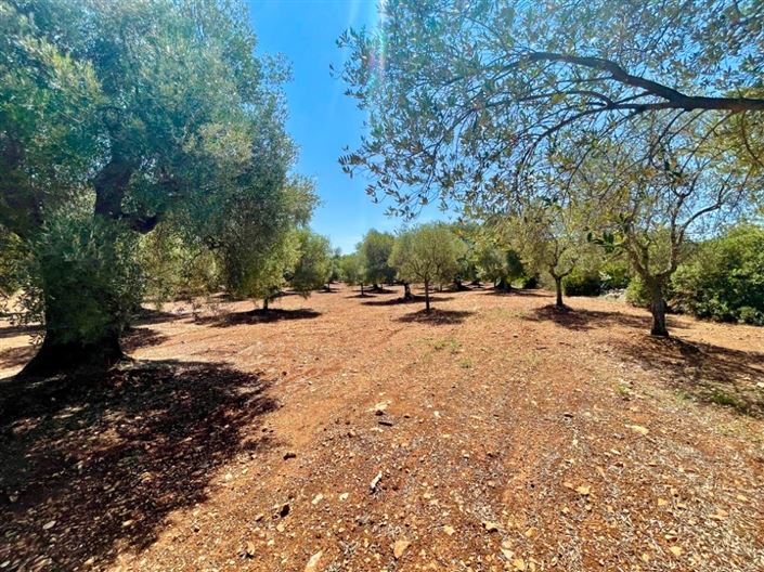 Image No.10-Property for sale