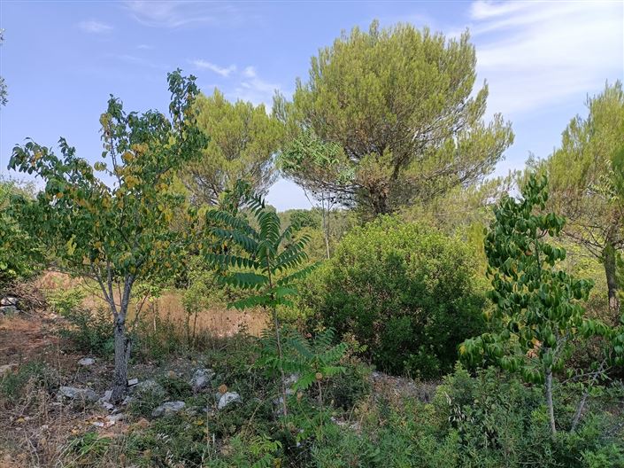 Image No.30-2 Bed Property for sale