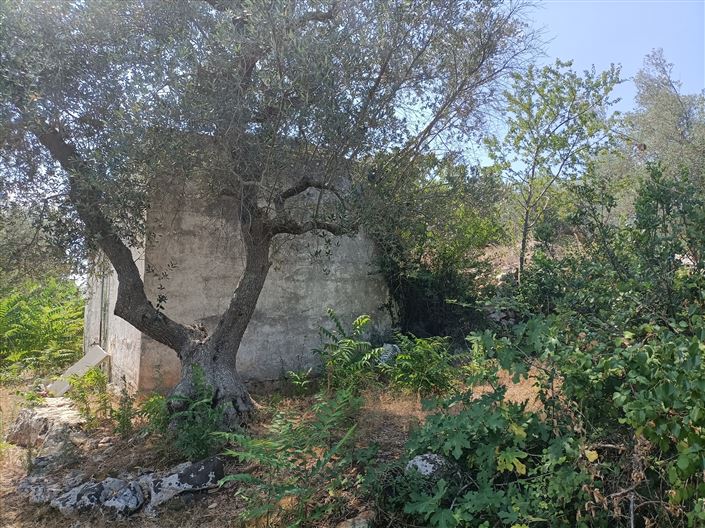 Image No.8-2 Bed Property for sale