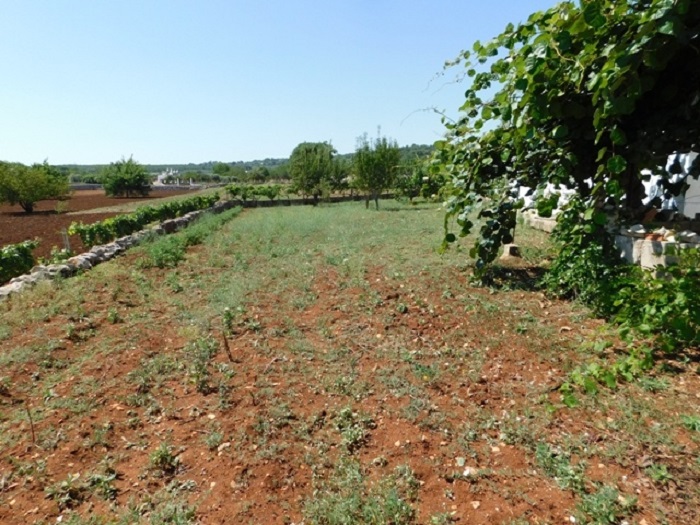 Image No.31-3 Bed Villa for sale