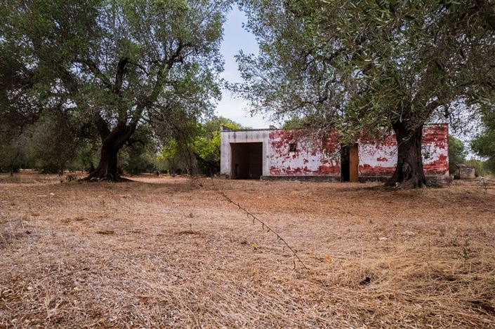 Image No.31-2 Bed Property for sale