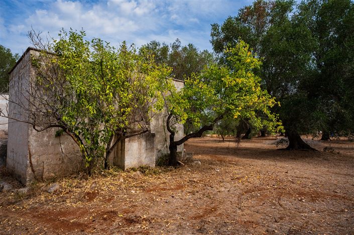 Image No.33-2 Bed Property for sale