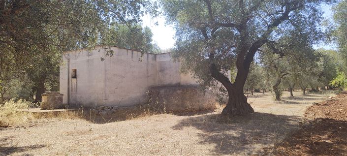 Image No.10-2 Bed Property for sale