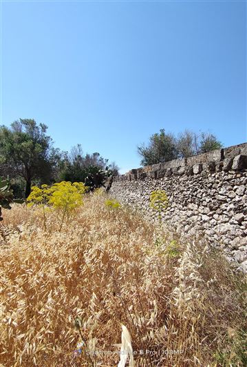 Image No.33-6 Bed Masseria for sale