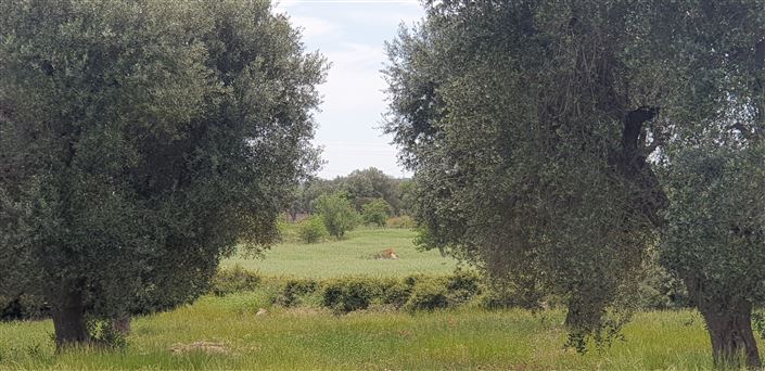 Image No.19-2 Bed Property for sale