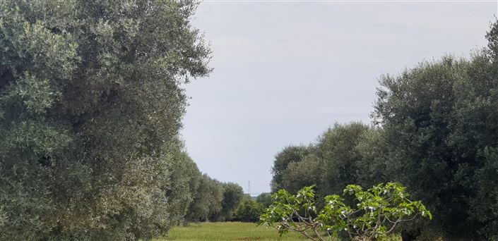 Image No.20-2 Bed Property for sale