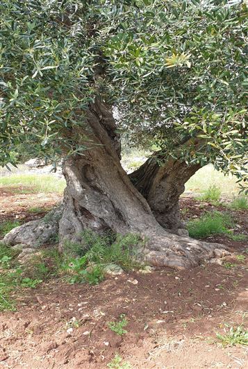 Image No.23-2 Bed Property for sale