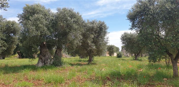 Image No.28-2 Bed Property for sale