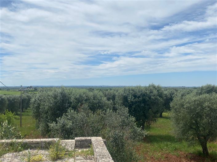 Image No.30-2 Bed Property for sale