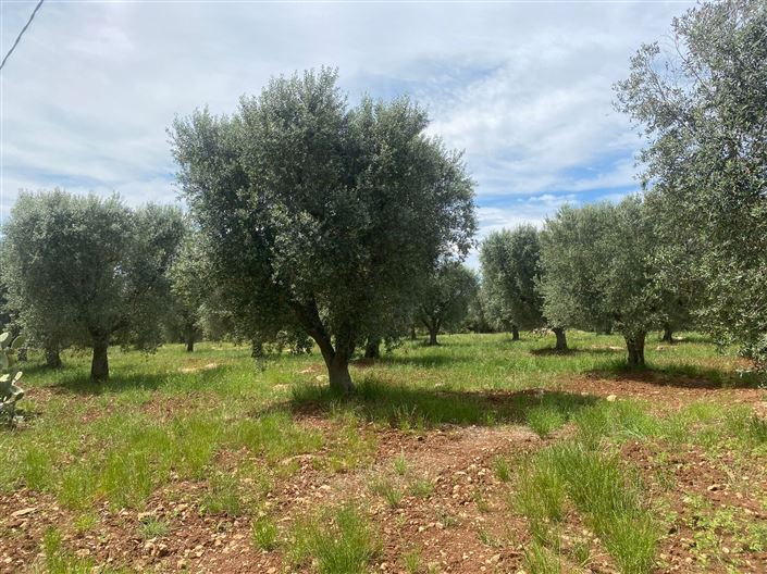 Image No.33-2 Bed Property for sale