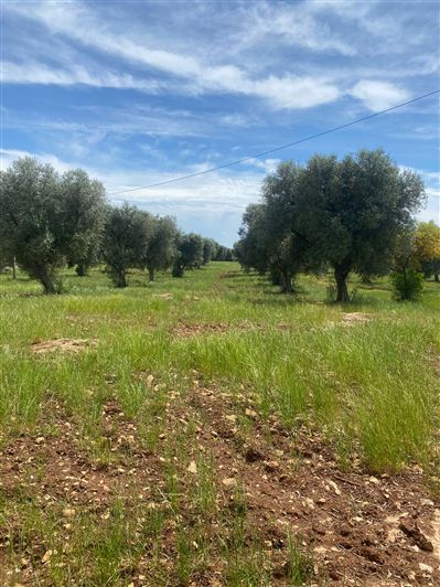 Image No.35-2 Bed Property for sale