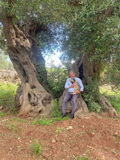 Image No.38-2 Bed Property for sale