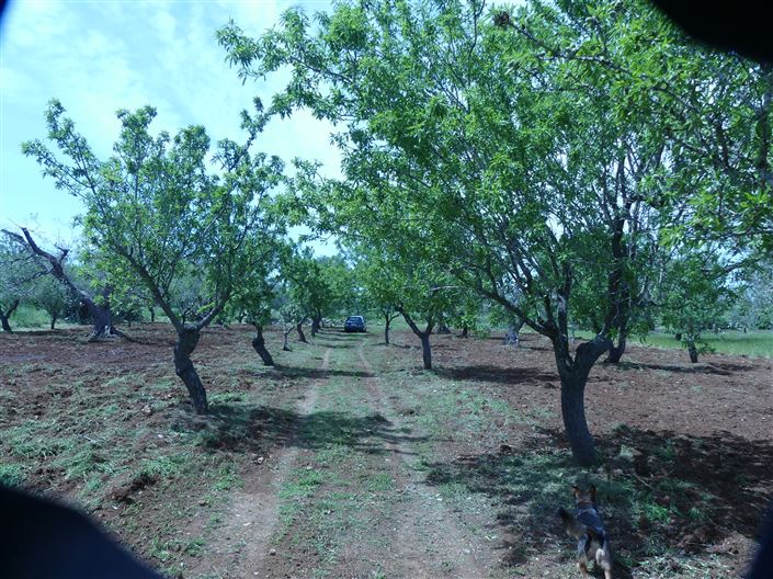 Image No.8-1 Bed Property for sale