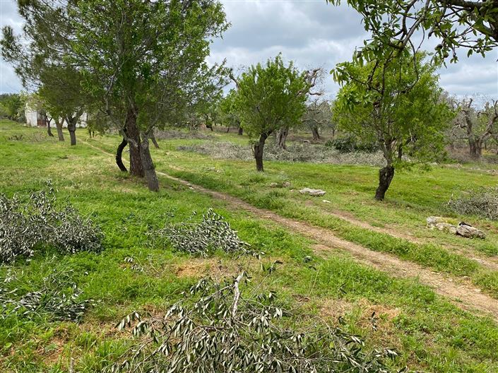 Image No.10-1 Bed Property for sale