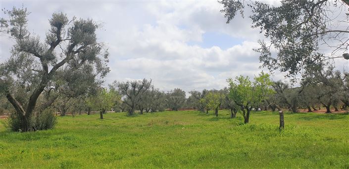 Image No.8-1 Bed Property for sale